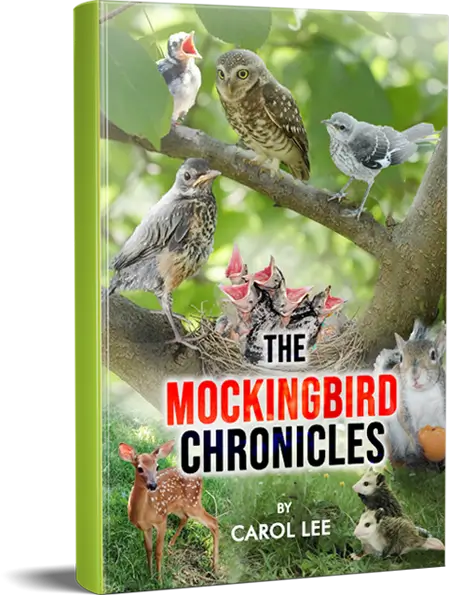 The Mockingbird Chronicles By Author Carol Lee Bookcover
